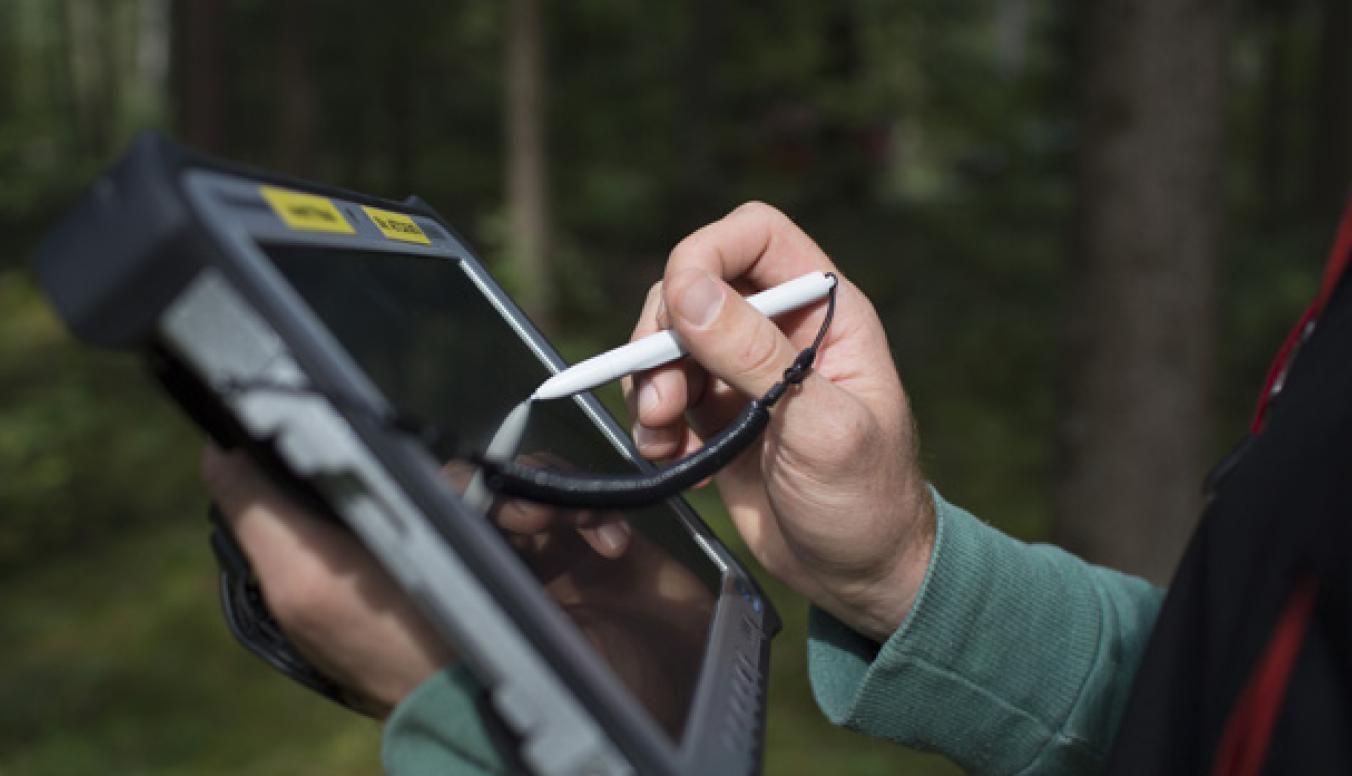 Tablet im Wald
