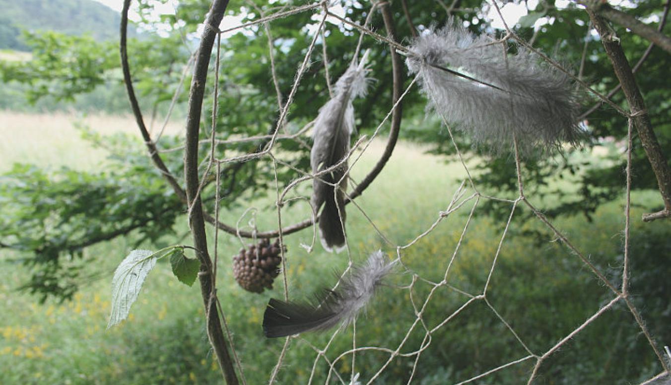 Traumfänger auf einer Wiese